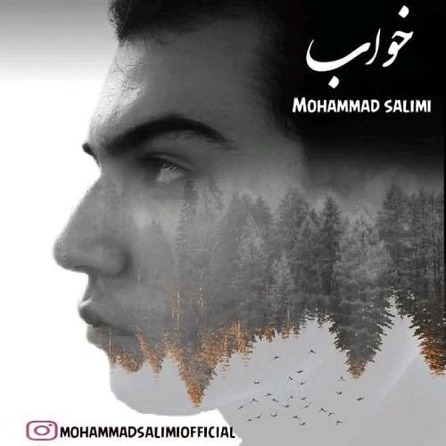 دانلود آهنگ محمد سلیمی خواب با لینک مستقیم و کیفیت بالا 128,320 و متن ترانه در بیتافام