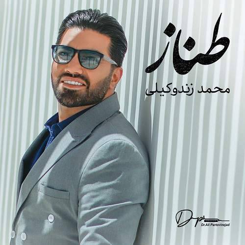 دانلود آهنگ محمد زندوکیلی طناز با لینک مستقیم و کیفیت بالا 128,320 و متن ترانه در بیتافام 
