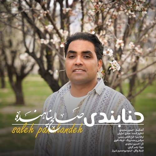 دانلود آهنگ صالح پناهنده حنابندی با لینک مستقیم و کیفیت بالا 128,320 و متن ترانه در بیتافام 